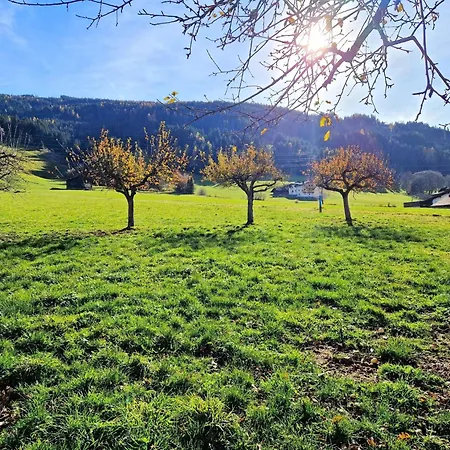 Almluft By Interhome Apartment Weerberg